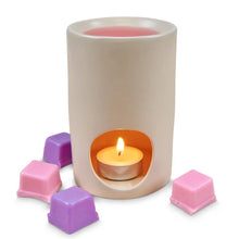 Load image into Gallery viewer, Tilley Scents Of Nature - Ceramic Burner Melt Gift Pack