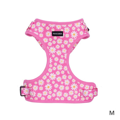 Frank Barker Pink Daisies Harness M