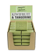 Load image into Gallery viewer, Tilley Scents Of Nature - Soap Bars 100g - Kiwifruit & Tangerine - ZOES Kitchen