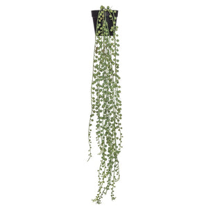 Rogue String Of Pearls Pot 70cm Green - ZOES Kitchen
