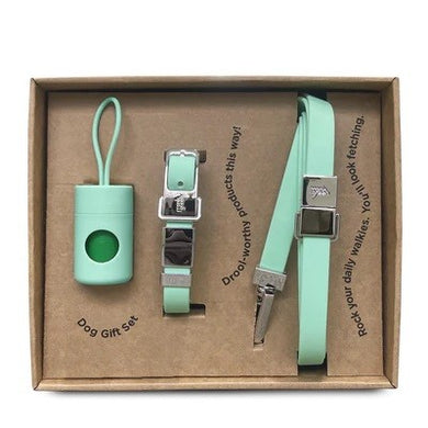 Frank Green Dog Gift Box Small - Mint Gelato - ZOES Kitchen