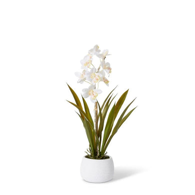 Elme Cymbidium Hybrid Dimple Pot - White/White - 28x28x48cm - ZOES Kitchen