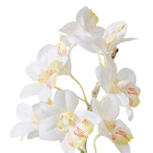 Load image into Gallery viewer, Elme Cymbidium Hybrid Dimple Pot - White/White - 28x28x48cm - ZOES Kitchen