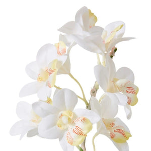 Elme Cymbidium Hybrid Dimple Pot - White/White - 28x28x48cm - ZOES Kitchen