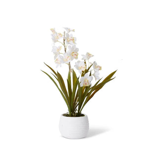 Elme Cymbidium Hybrid Dimple Pot - White/White - 32x32x54cm - ZOES Kitchen