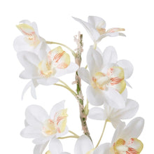 Load image into Gallery viewer, Elme Cymbidium Hybrid Dimple Pot - White/White - 32x32x54cm - ZOES Kitchen