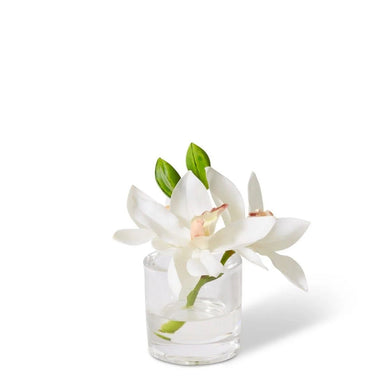 Elme Cymbidium Orchid in Vase - White - 15x8x15cm - ZOES Kitchen