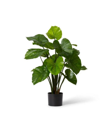 Elme Alocasia Lily Potted Green 40x40x80cm - ZOES Kitchen