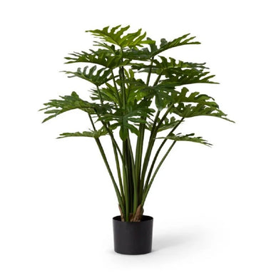 Elme Philodendron Potted Green 50x50x50x90cm - ZOES Kitchen