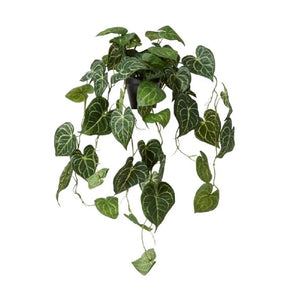 Elme Anthurium Hanging Plant Potted Variegated 38x35x84cm - ZOES Kitchen