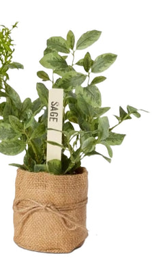 Elme Herbs Sage 25x20x22cm