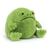 Load image into Gallery viewer, Jellycat Ricky Rain Frog