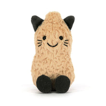 Load image into Gallery viewer, Jellycat Amuseables Peanut Cat Outfit