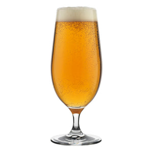 Ecology Classic Stem Beer Glasses 460ml - Set of 6