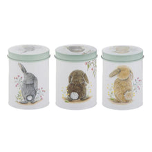 Load image into Gallery viewer, Ashdene Tinware Canister - Bunny Tales