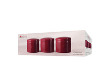 Load image into Gallery viewer, Maxwell &amp; Williams Epicurious Canister Set of 3 - Bordeaux