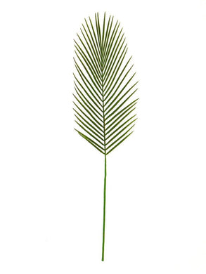 Rogue Cycad Leaf Straight Green 23x88cm