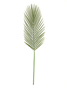 Rogue Cycad Leaf Straight Green 23x88cm