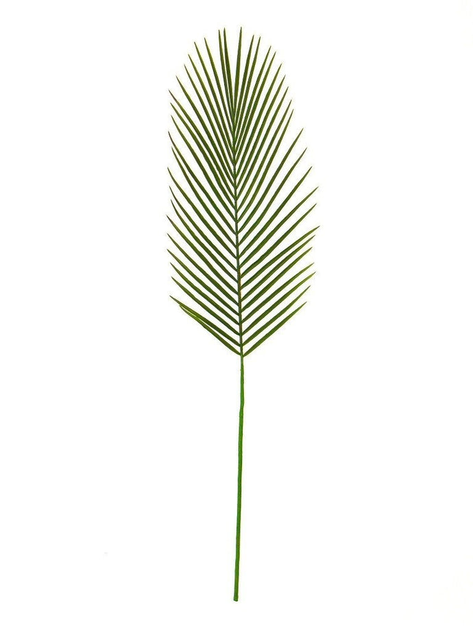 Rogue Cycad Leaf Straight Green 23x88cm