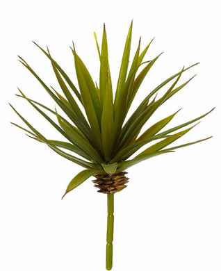 Rogue Needle Agave Green 15x20cm