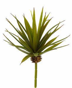 Rogue Needle Agave Green 15x20cm