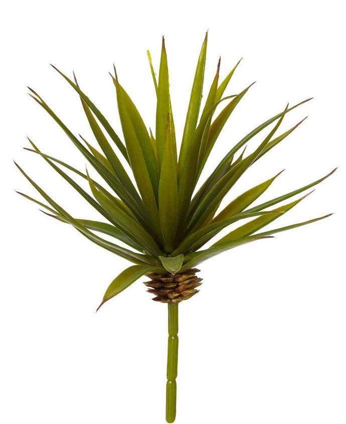 Rogue Needle Agave Green 15x20cm