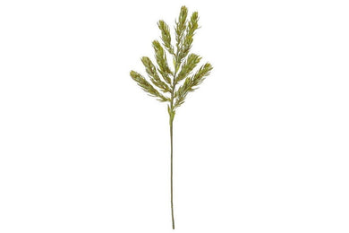 Rogue Protea Foliage Green 19x19x60cm