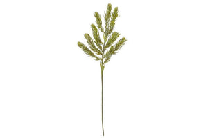 Rogue Protea Foliage Green 19x19x60cm