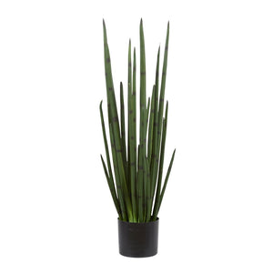Rogue Sansevieria Plant Green 30x30x83cm