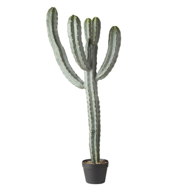 Rogue Saguaro Cactus - 45x30x123cm Green