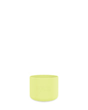 Load image into Gallery viewer, Frank Green Bottle Bumper Guard 20oz - Star Glow
