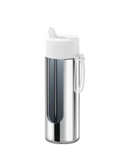 Load image into Gallery viewer, Frank Green Ceramic 20oz Straw Bottle - Limited Edition Silver with Flip Straw Lid Cloud