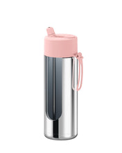 Load image into Gallery viewer, Frank Green Ceramic 20oz Straw Bottle - Limited Edition Silver with Flip Straw Lid Blushed