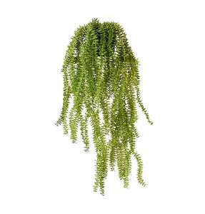 Elme Sawtooth Hanging Plant Green - Green - 13x25x70cm - ZOES Kitchen