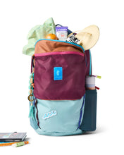 Load image into Gallery viewer, Cotopaxi Allpa 26L Daypack - Del Dia