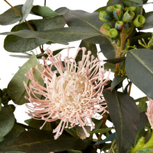 Load image into Gallery viewer, White Telopea Shady Lady Flower