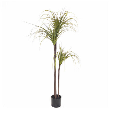 SOGA 145cm Green Artificial Indoor Dragon Blood Tree Fake Plant Decorative - ZOES Kitchen