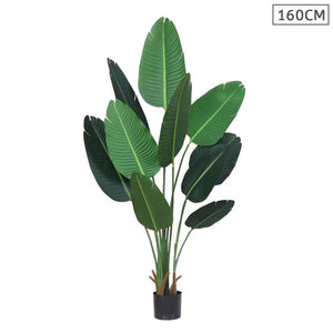 SOGA 160cm Artificial Green Indoor Traveler Banana Fake Decoration Tree Flower Pot Plant - ZOES Kitchen