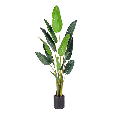 SOGA 220cm Artificial Giant Green Birds of Paradise Tree Fake Tropical Indoor Plant Home Office Decor - ZOES Kitchen