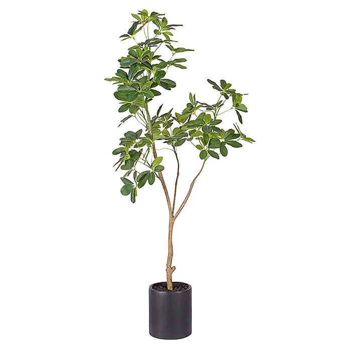 SOGA 160cm Artificial Natural Green Schefflera Dwarf Umbrella Tree