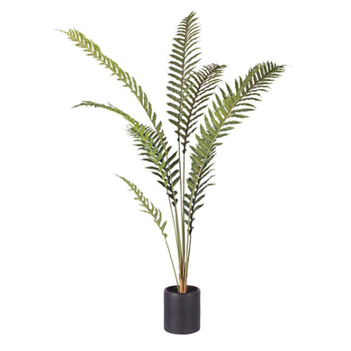 SOGA 180cm Artificial Green Rogue Hares Foot Fern Tree Fake Tropical Indoor Plant Home Office Decor - ZOES Kitchen