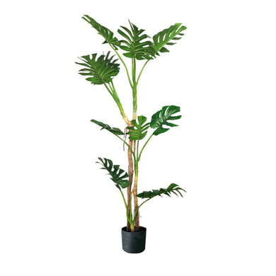 SOGA 175cm Green Artificial Indoor Turtle Back Tree Fake Fern Plant Decorative - ZOES Kitchen