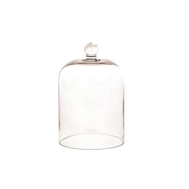 Palm Beach Glass Cloche - ZOES Kitchen