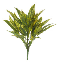 Load image into Gallery viewer, Rogue Tradescantia Bush 50cm Varigated - ZOES Kitchen