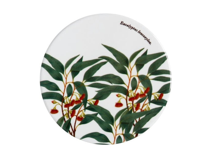 Maxwell & Williams Royal Botanic Garden Ceramic Round Coaster 9.5cm Flowering Gum - ZOES Kitchen