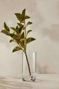 Casa Domani Moda Cylindrical Vase 30cm GB - ZOES Kitchen