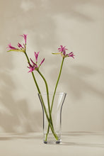 Load image into Gallery viewer, Casa Domani Moda Flared Vase 25cm GB - ZOES Kitchen