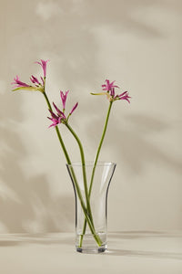 Casa Domani Moda Flared Vase 25cm GB - ZOES Kitchen