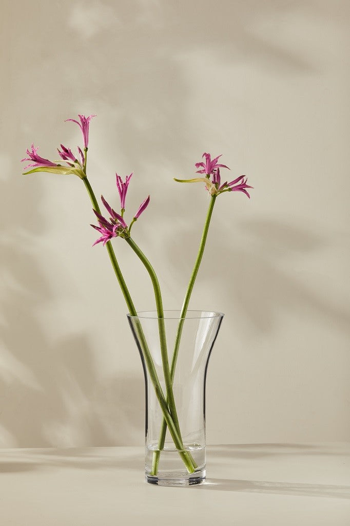 Casa Domani Moda Flared Vase 25cm GB - ZOES Kitchen