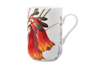 Maxwell & Williams Royal Botanic Garden Mug Bells 300ml Gb - ZOES Kitchen